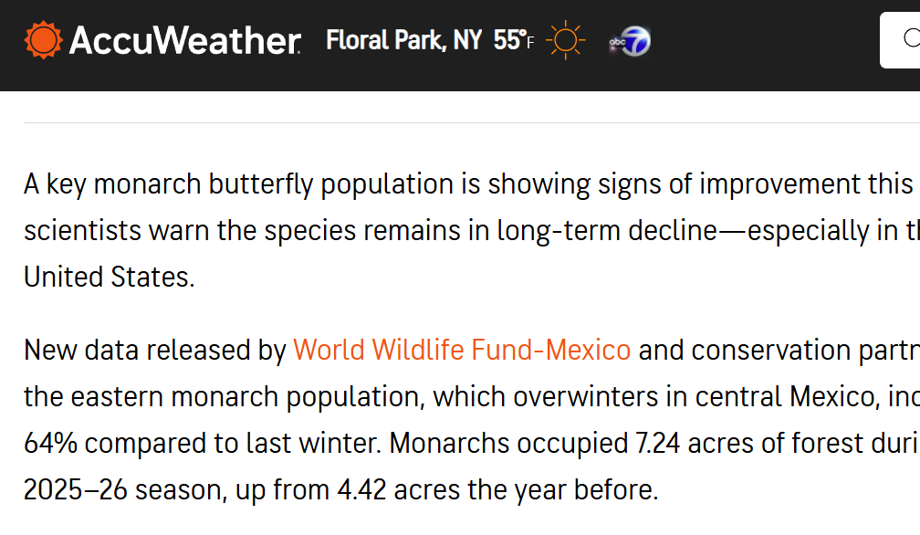 AccuWeather AI-generated content