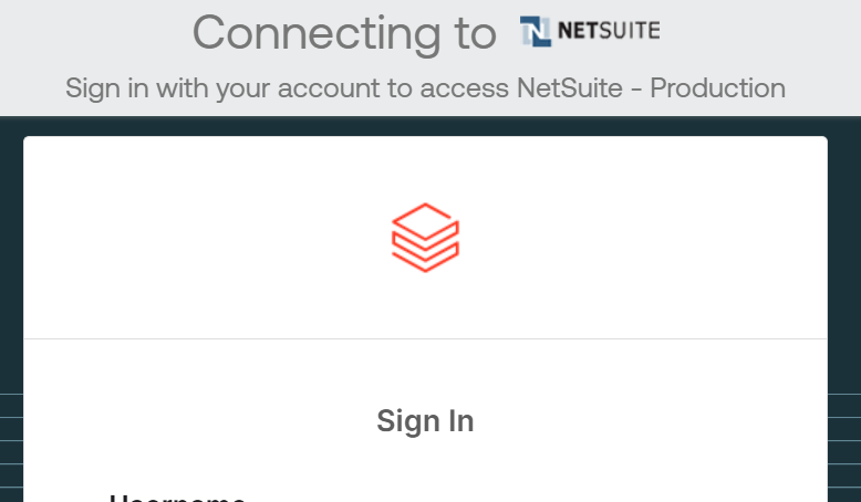 Databricks NetSuite