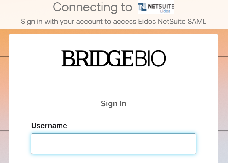 BridgeBio NetSuite