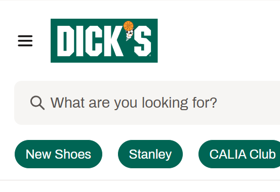 DICK'S Sporting Goods Salesforce